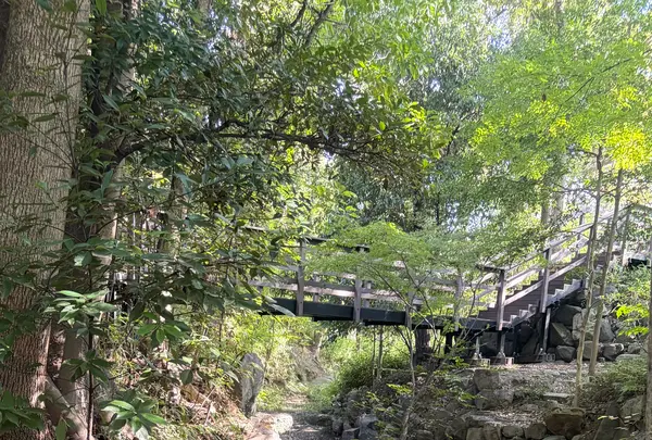 藤田邸跡公園（旧藤田邸庭園）の写真・動画_image_788053