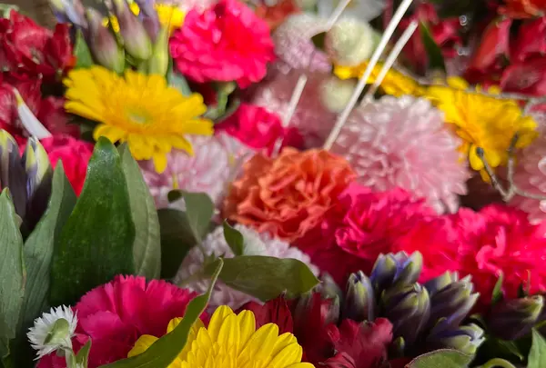 錦山天満宮の写真・動画_image_788390