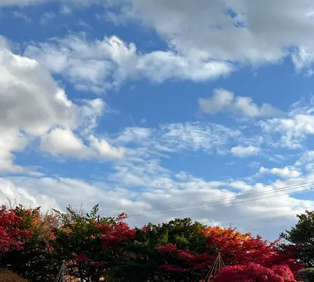 平岡樹芸センター みどりーむの写真・動画_image_788402