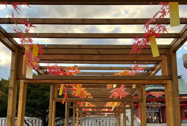 樽前山神社の写真・動画_image_788409