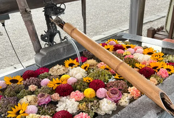 樽前山神社の写真・動画_image_788413