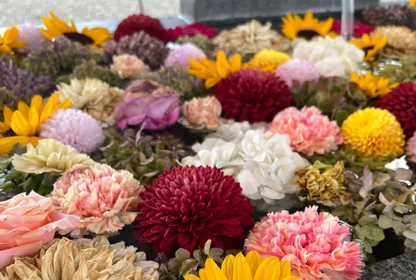 樽前山神社の写真・動画_image_788414