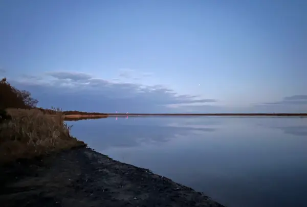 道の駅 ウトナイ湖の写真・動画_image_788419