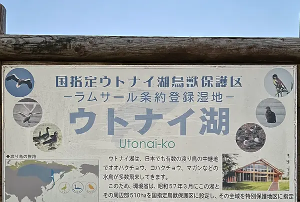 道の駅 ウトナイ湖の写真・動画_image_788420