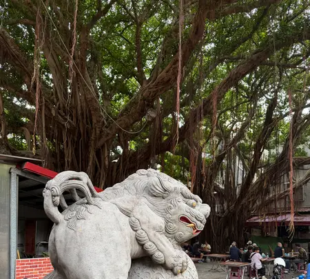 大稲埕慈聖宮天上聖母の写真・動画_image_788896