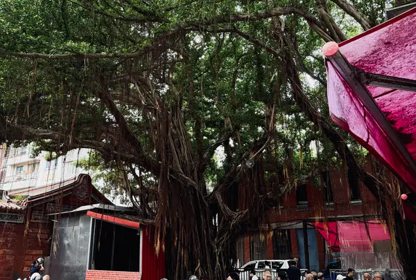 大稲埕慈聖宮天上聖母の写真・動画_image_788897