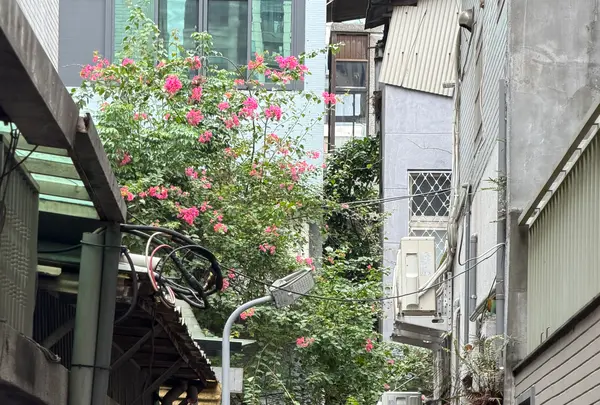 COOKIE886の写真・動画_image_788980