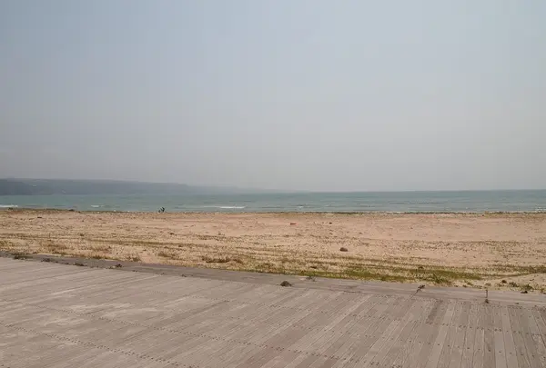 増穂浦海岸
