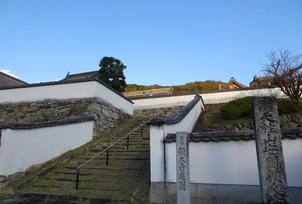 天柱山 頼久寺の写真・動画_image_791348