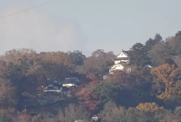 高梁市ループ橋 展望公園の写真・動画_image_791674