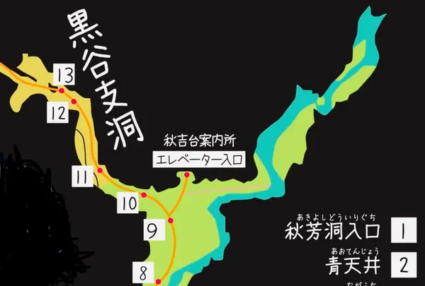 秋芳洞の写真・動画_image_791686