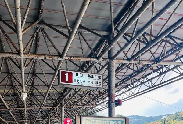 秋芳洞黒谷口の写真・動画_image_791691