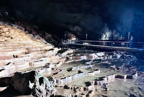 秋芳洞の写真・動画_image_791703