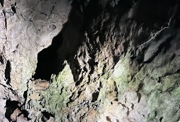 秋芳洞の写真・動画_image_791706