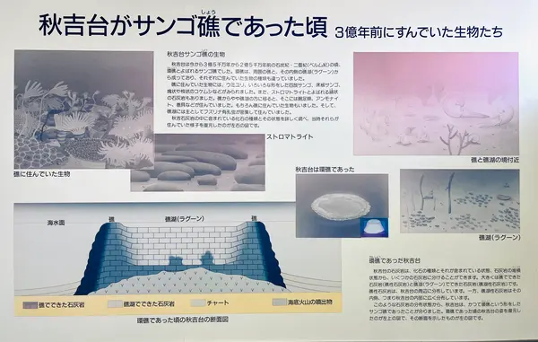 秋吉台科学博物館の写真・動画_image_791721