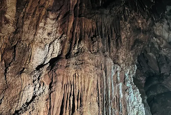 秋芳洞黒谷口の写真・動画_image_791726