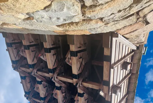 錦帯橋の写真・動画_image_791740