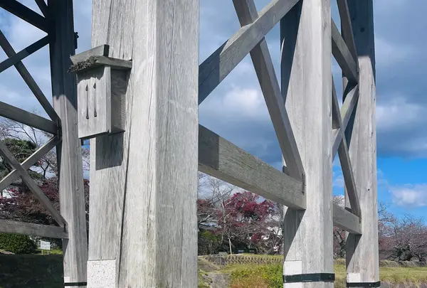 錦帯橋の写真・動画_image_791741