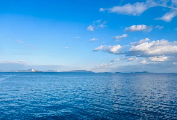 岩国駅の写真・動画_image_791757