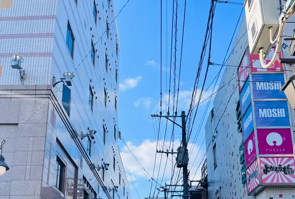 春吉橋の写真・動画_image_791794