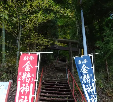 金精神社の写真・動画_image_791869