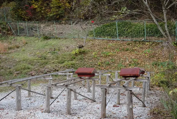 ベンガラ館の写真・動画_image_791877