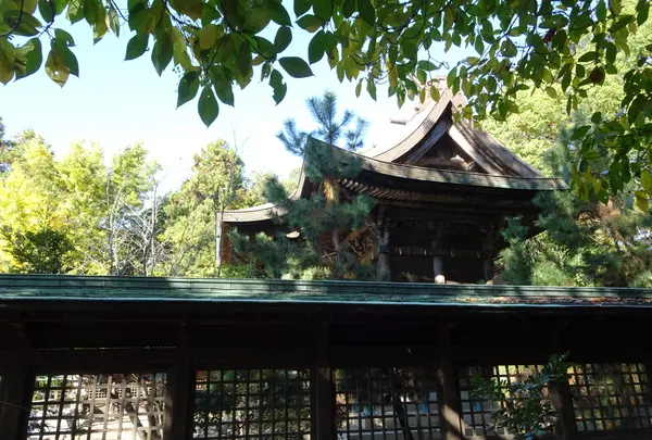 伊和都比売神社の写真・動画_image_791906