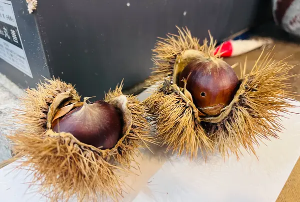 割烹 若新の写真・動画_image_791980