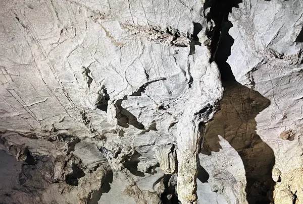 秋芳洞の写真・動画_image_791985