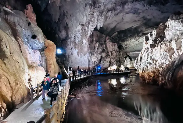 秋芳洞の写真・動画_image_792245