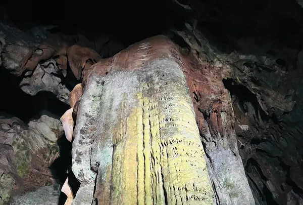 秋芳洞黒谷口の写真・動画_image_792263