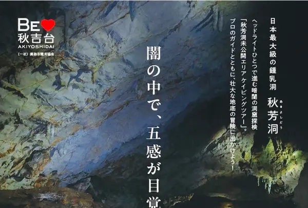 秋芳洞の写真・動画_image_792265