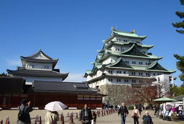 名古屋城 天守の写真・動画_image_792471