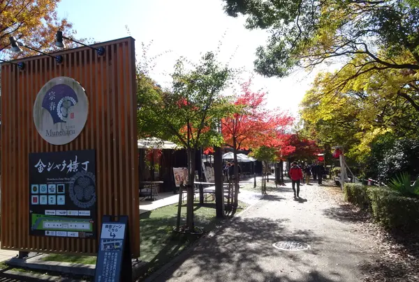 金シャチ横丁（宗春ゾーン）の写真・動画_image_792487