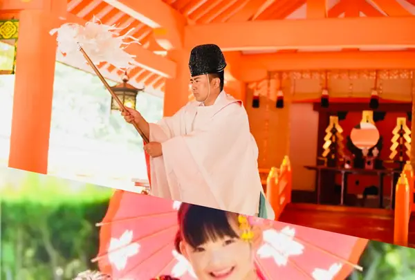 住吉神社本殿の写真・動画_image_792506