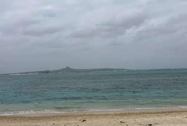 備瀬のフクギ並木の写真・動画_image_792857