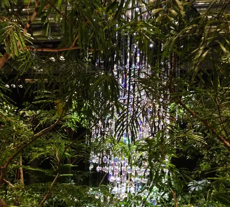 NEWoMan高輪 Northの写真・動画_image_793462