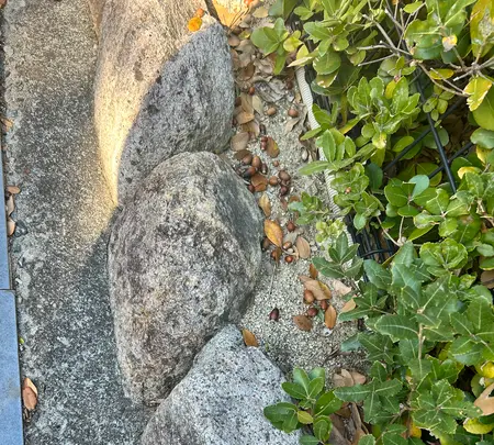 有馬温泉 池之坊有料駐車場の写真・動画_image_793910