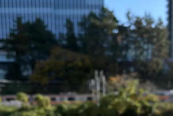 CANAL CAFE（カナルカフェ）の写真・動画_image_796301