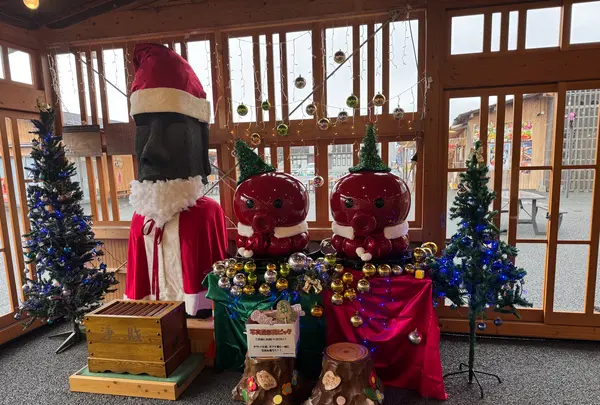 創菜旬魚はしもとの写真・動画_image_796494