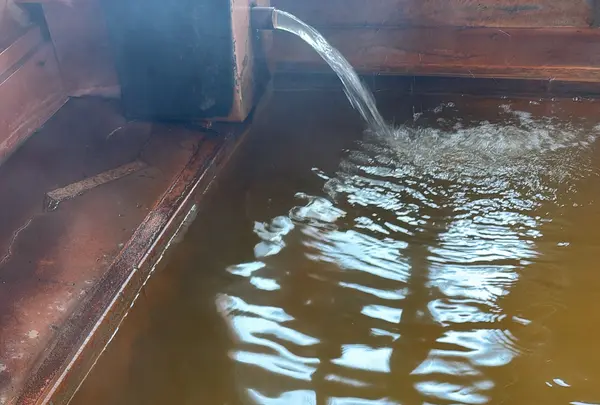 道の駅 上品の郷 ふたごの湯の写真・動画_image_796495