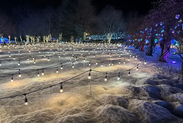 やくらいガーデンの写真・動画_image_796501