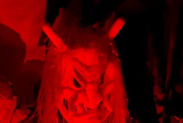 桃太郎のからくり博物館の写真・動画_image_796662