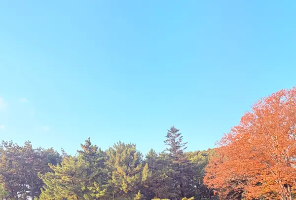 岡山後楽園の写真・動画_image_796670