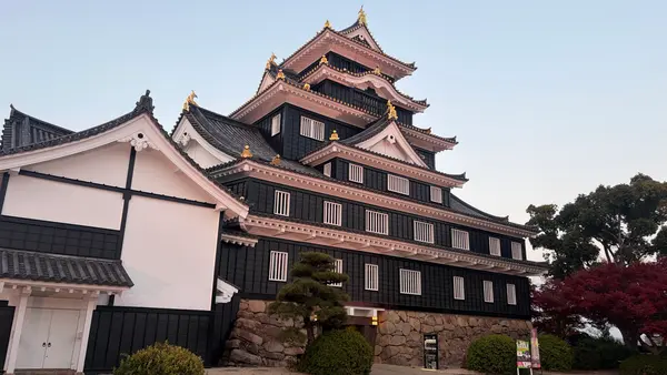 岡山城の写真・動画_image_796672