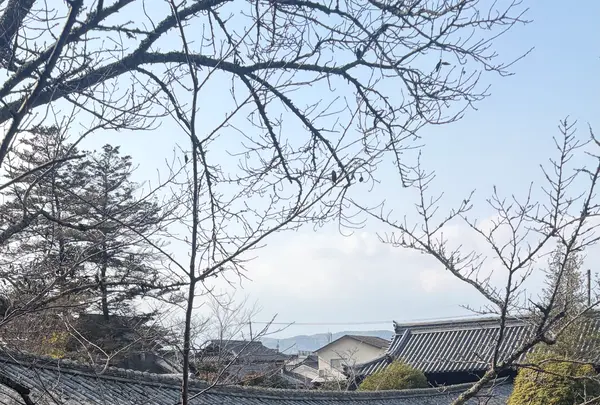吉備津神社の写真・動画_image_796692