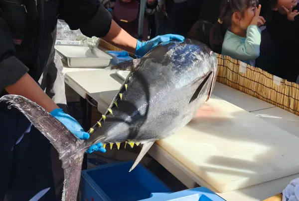 藤居本家の写真・動画_image_797282