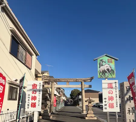 田中神社の写真・動画_image_800109