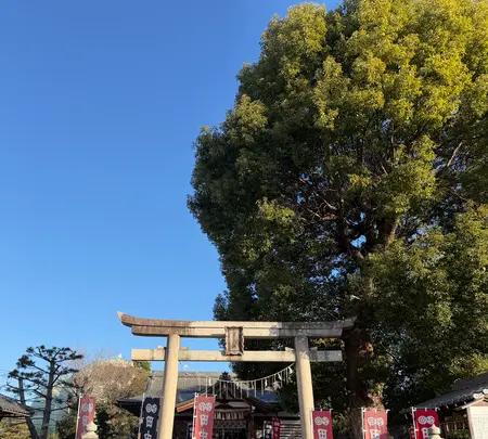 田中神社の写真・動画_image_800111