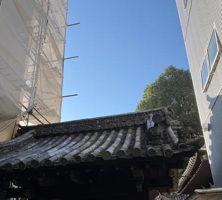 本教寺の写真・動画_image_800114